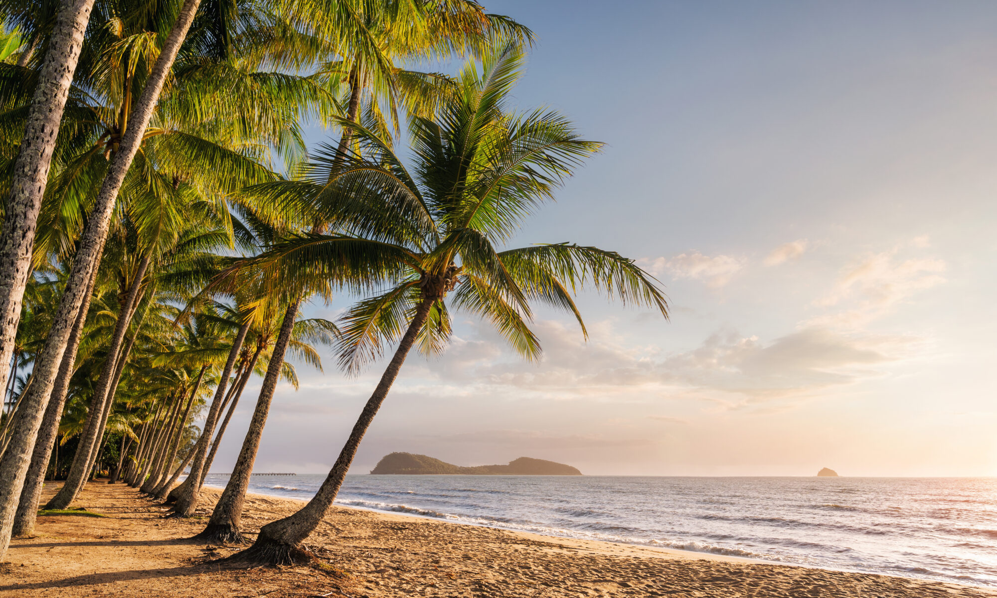 Marriage Celebrant Cairns Port Douglas and Beyond